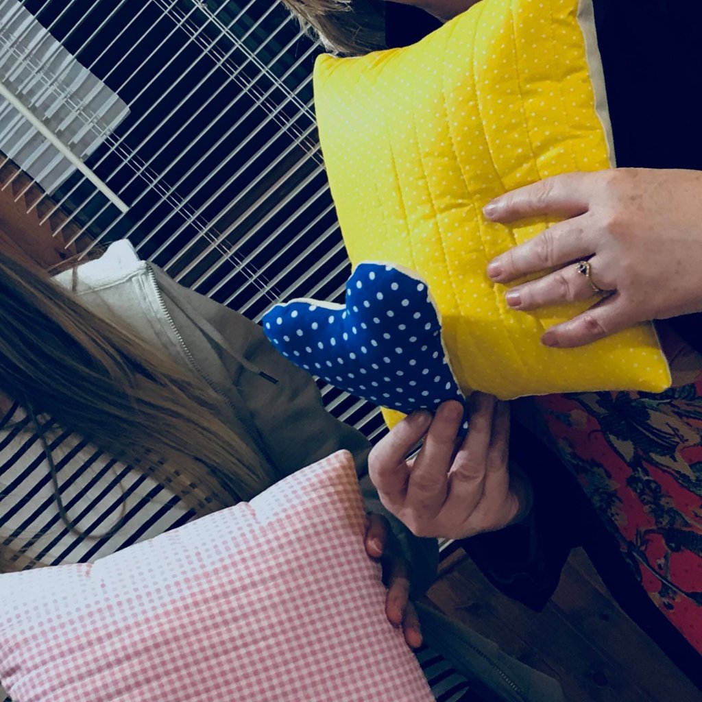 Make Your Own Cushions - Learn To Sew In A Day